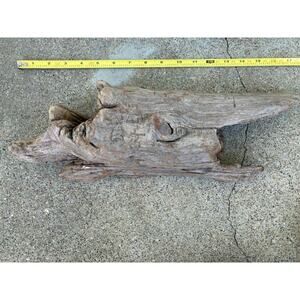 Ohio River Driftwood 17"x5"x3.5"